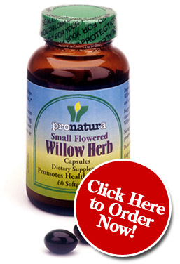 Willow Herb Capsules