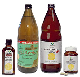 Original Kombucha Tea Dr. Sklenar's Genuine Recipe